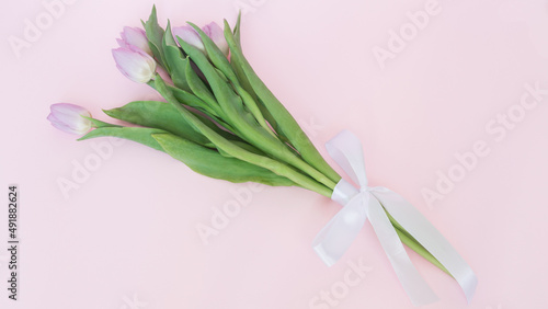 Kwitnące , różowe tulipany, przewiązane wstążką, na pastelowo różowym tle