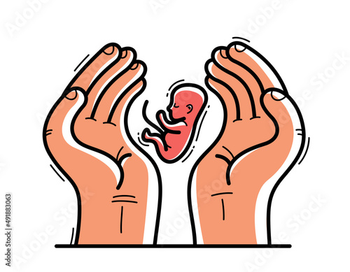Two hands with fetus embryo protecting and showing care vector flat style illustration isolated on white, cherish and defense for unborn children and pregnancy concept.