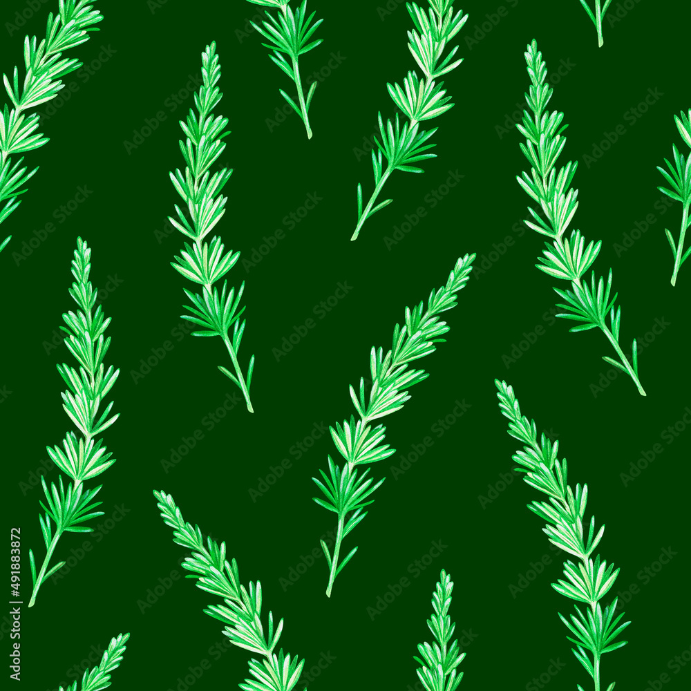 Seamless pattern of Rosemary. Watercolor vintage illustration. Isolated on a green background. For your design.