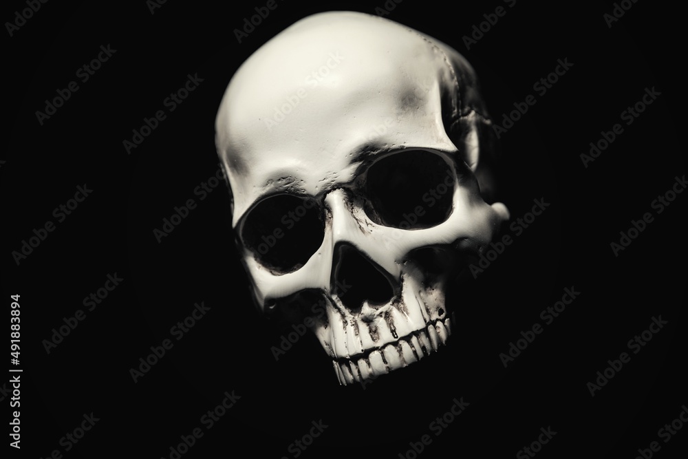 Obraz premium White skull against dark black background