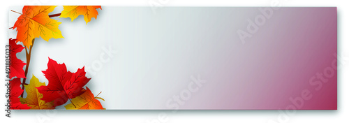 Autumn Time Background, Some fall leaves on weathered wood with copy space for your message
