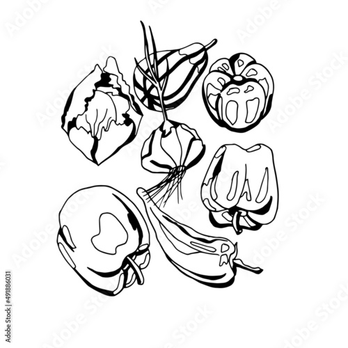 black and white drawing of vegetables