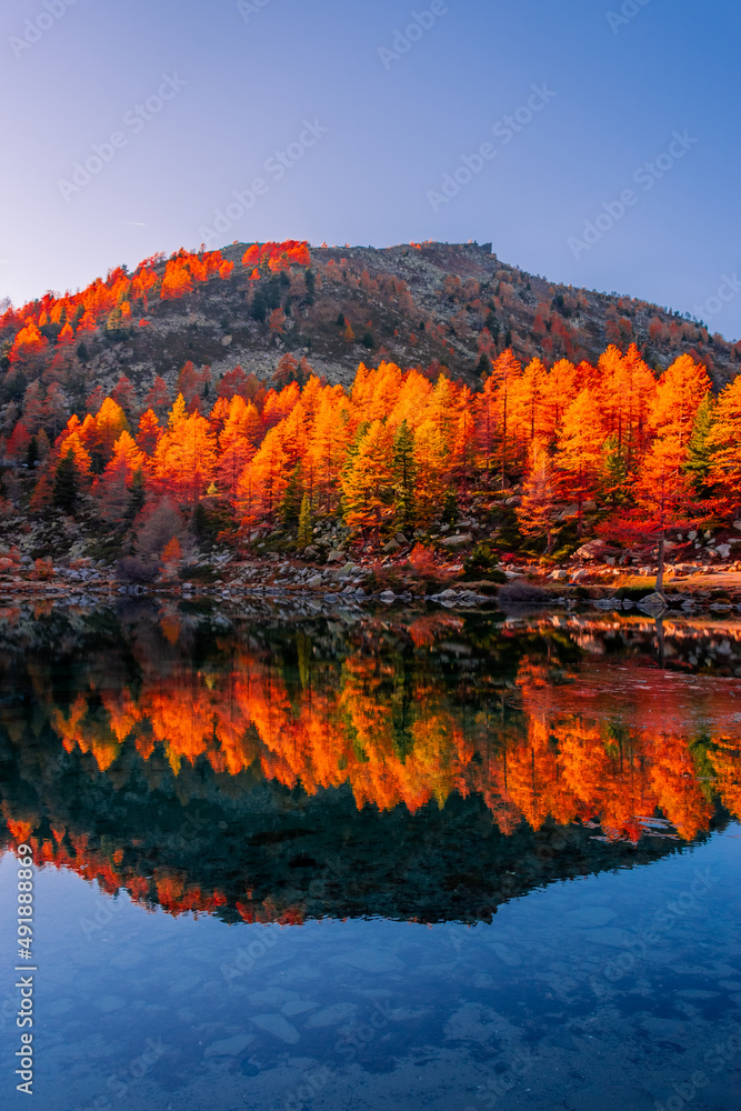 Amazing reflections of red leaves trees over Lake Arpy in the Alps of Aosta Valley Italy