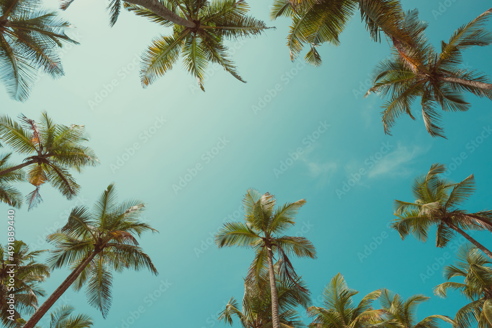 Coconut palm trees on tropical beach with clear sky background, vintage toned