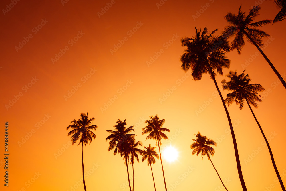 Tropical coconut palm trees on beach at sunset with shining sun