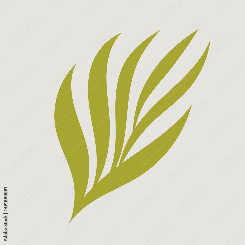 abstract green leaf palm vector design abstract green leaf palm vector design