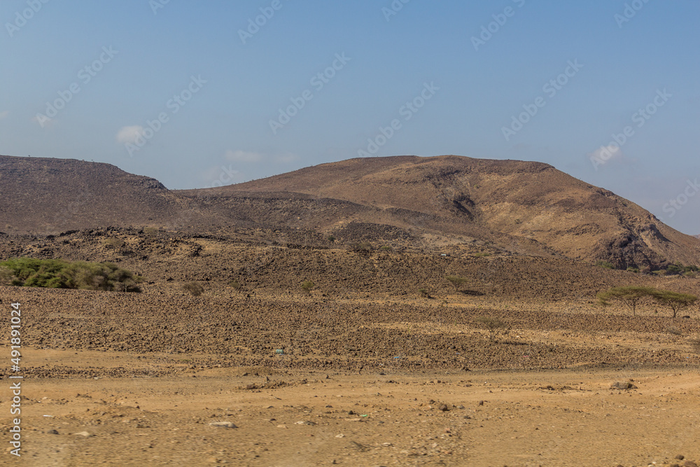 View of the desert landscape of Djibouti