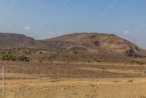 View of the desert landscape of Djibouti