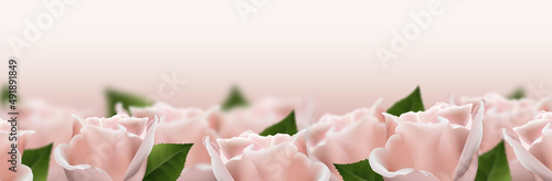 Realistic pink 3d rose flowers on white background. Vector illustration
