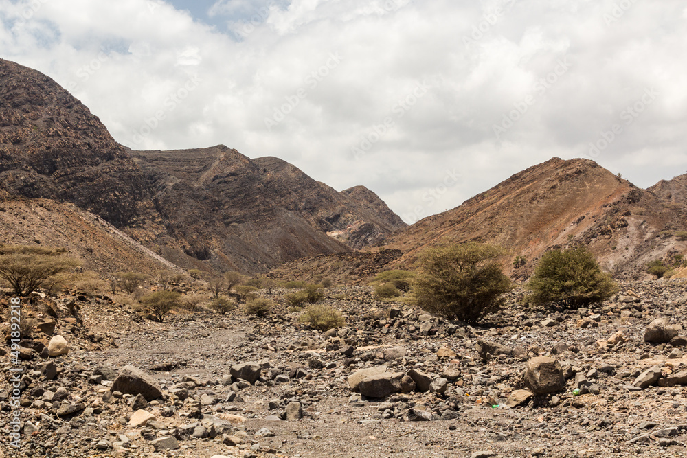 Rocky desert landscape of Djibouti