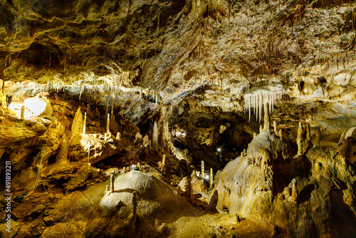 The bear cave pestera ursilor at chiscau in romania