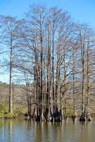Stumpy Lake Virginia 