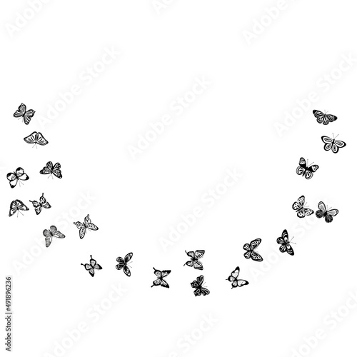 flying butterflies black silhouette, isolated vector © zolotons