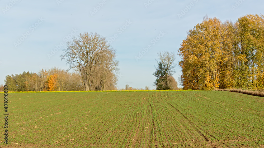 Autumn farm landscape in the Flemish countryside. Onkerzele, Belgium