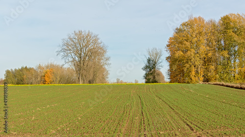 Autumn farm landscape in the Flemish countryside. Onkerzele  Belgium