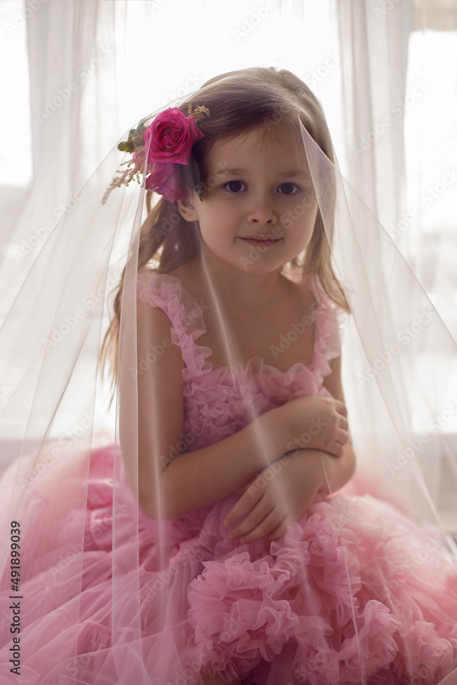 portrait of a girl in a pink dress and a flower with a rose in her head and net is filmed in the studio