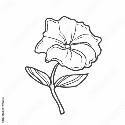 Hand drawn doodle flowers. Set of sketches of different summer flowers. Rose, tulip, dahlia, lily, chamomile and leaves line art. Vector illustration