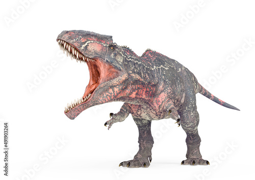 giganotosaurus is intimidating the others on white background cool view © DM7