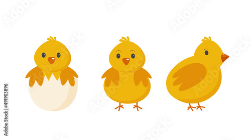 Easter chickens cartoon style on a white background