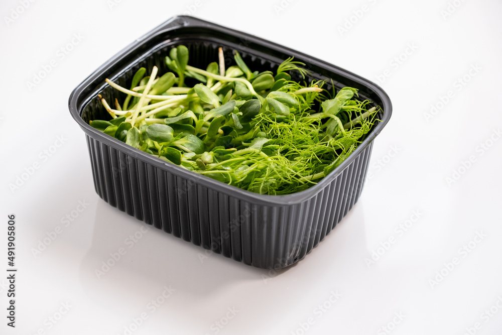 Fresh micro greens. Micro sprouts grown in plastic box. Microgreens growing. Many young fresh sprouts of peas grow in bowl. Isolated on white background, Healthy lifestyle food Fresh micro greens. Micro sprouts grown in plastic box. Microgreens growing. Many young fresh sprouts of peas grow in bowl. Isolated on white background, Healthy lifestyle food