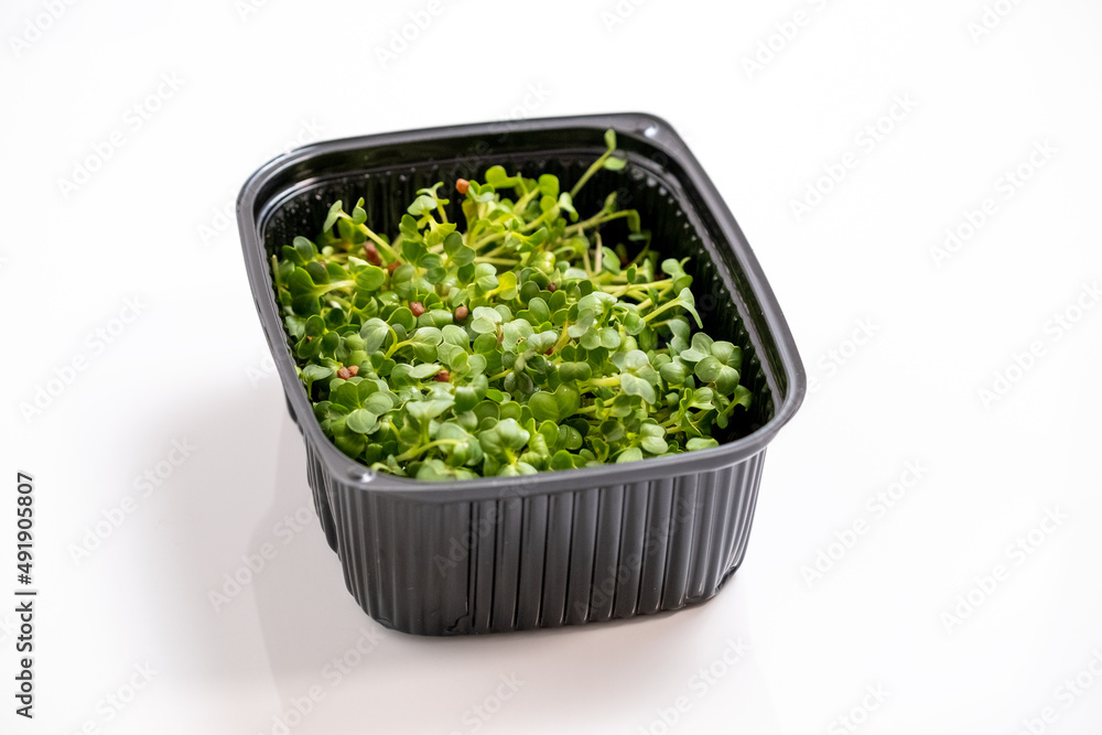 Fresh micro greens. Micro sprouts grown in plastic box. Microgreens growing. Many young fresh sprouts of peas grow in bowl. Isolated on white background, Healthy lifestyle food Fresh micro greens. Micro sprouts grown in plastic box. Microgreens growing. Many young fresh sprouts of peas grow in bowl. Isolated on white background, Healthy lifestyle food