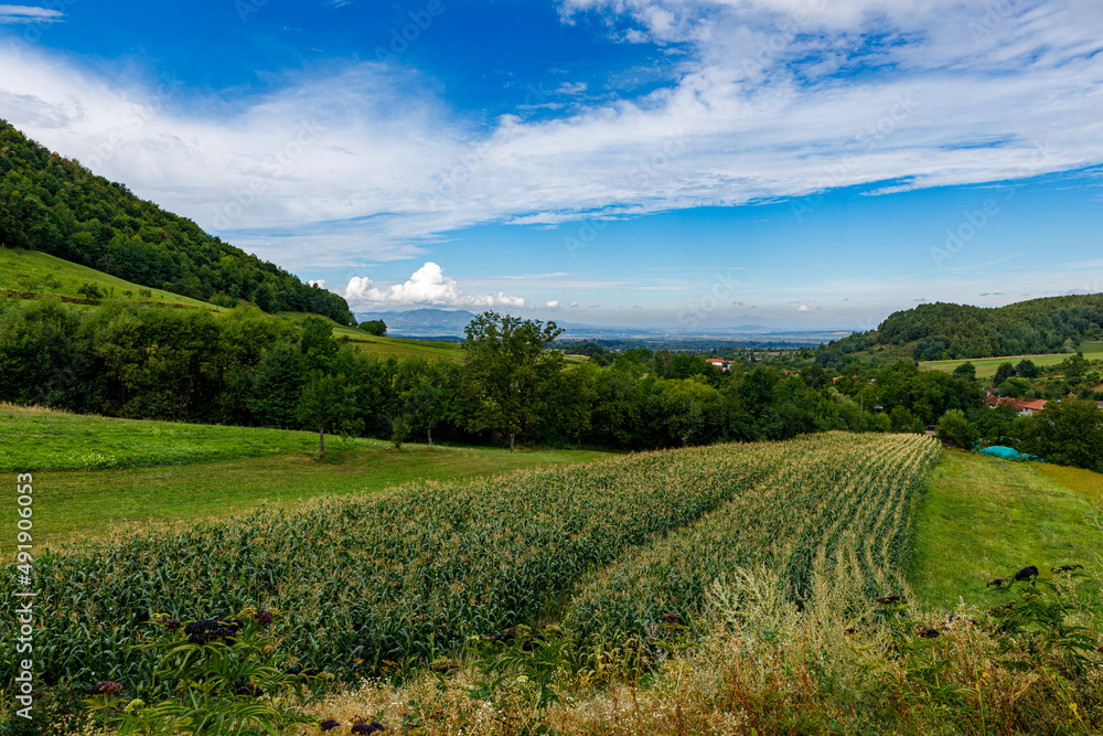 Naklejka premium The landscape at chiscau in romania