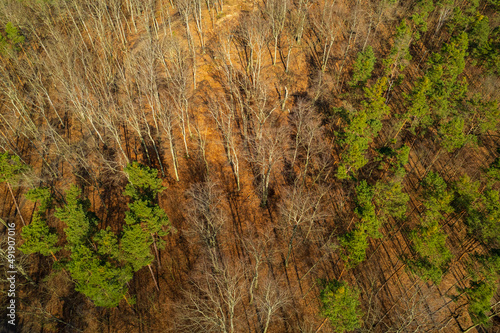 Small monument in an orange forest