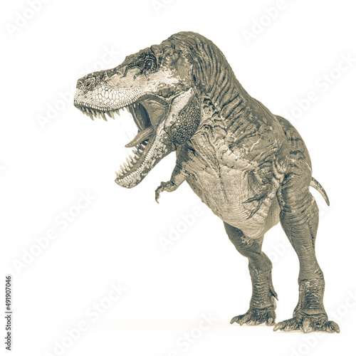 tyrannosaurus rex is angry and looking for food in white background