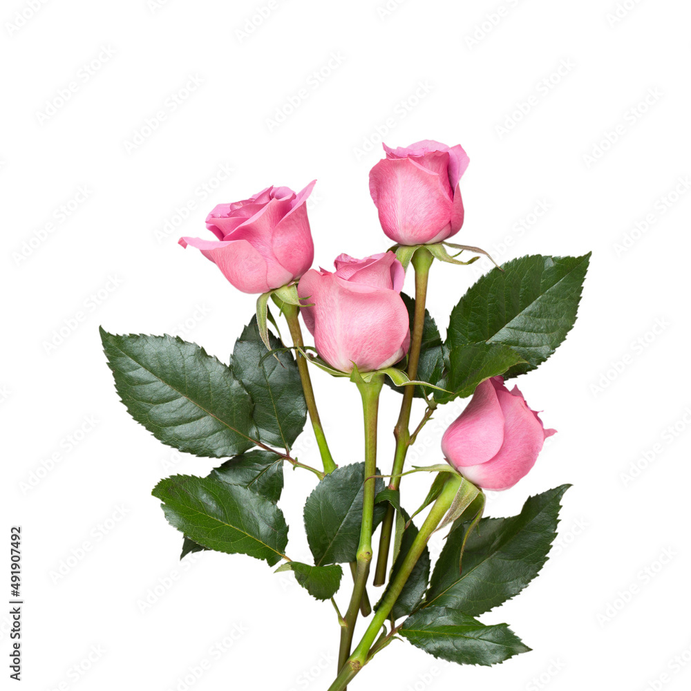 Fototapeta premium Flowers valentine day composition. Frame made of pink rose on gray background. Flat lay, top view, copy space.