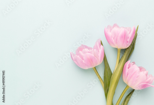 Fototapeta Naklejka Na Ścianę i Meble -  Pink tulip flowers on pastel background.
