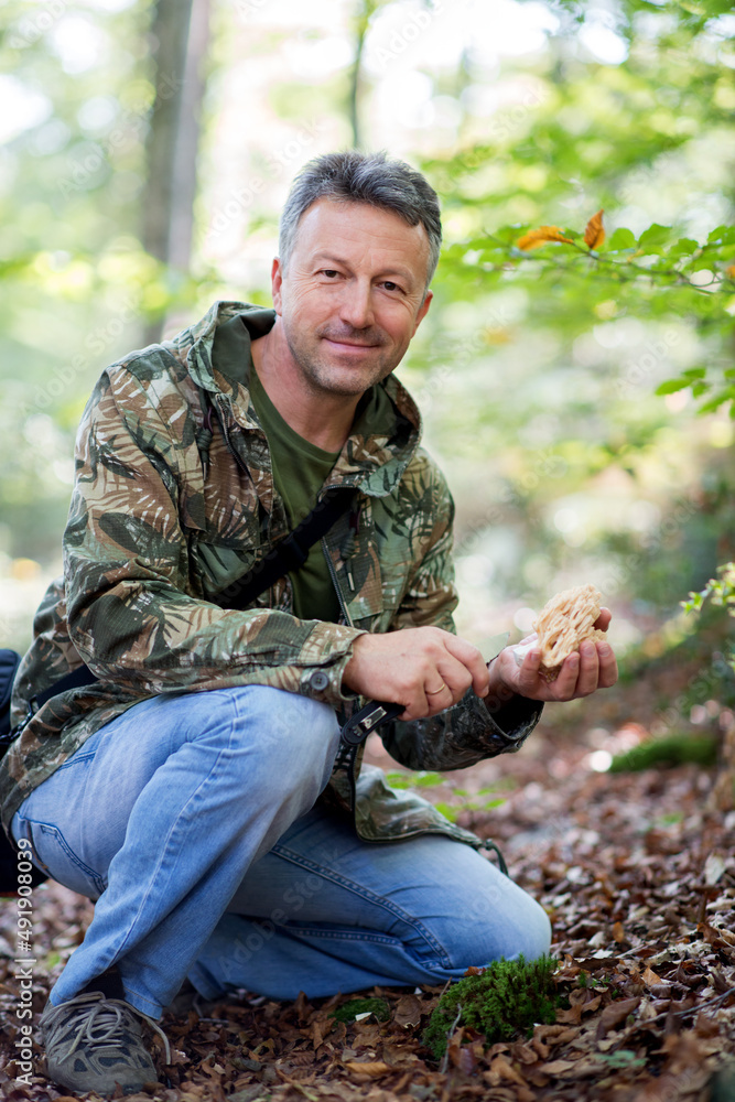 Man cuts with knife Deer horns mushroom. Bear paw mushroom. Coral yellow mushroom. Eatable mushroom grow in autumn forest among fallen leaves.