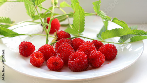 Ripe red berries of tibetan raspberry with green leaves on branch on white plate close-up