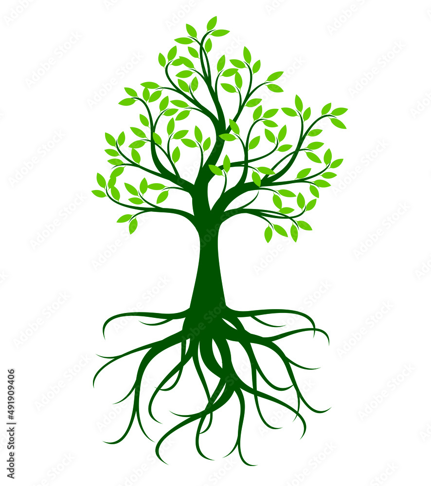 Green Tree with Roots. Vector outline Illustration. Green Tree with Roots. Vector outline Illustration.