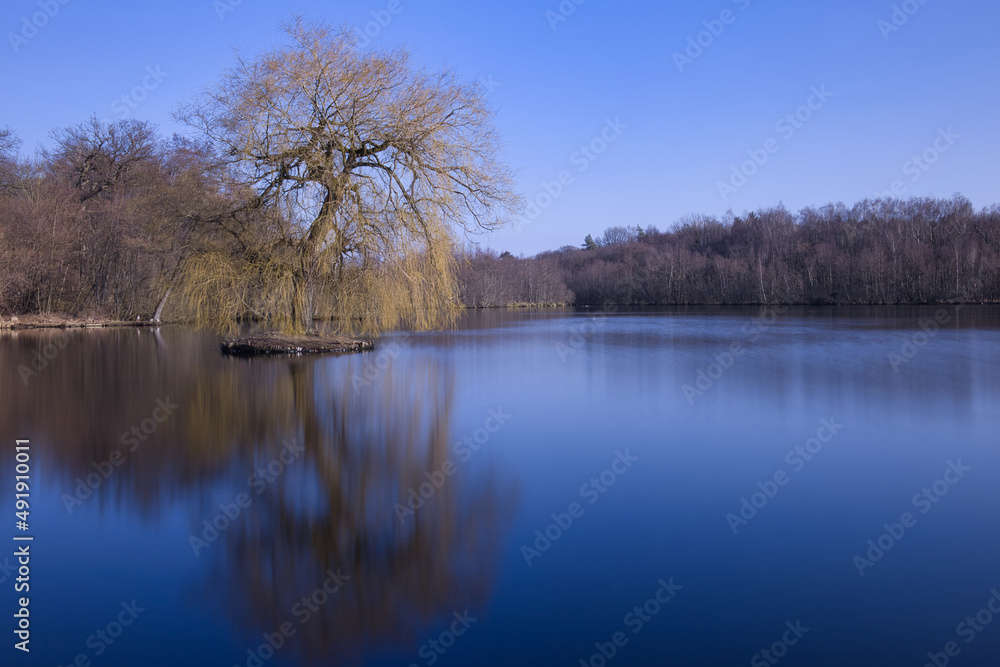 Insel mit Baum im See