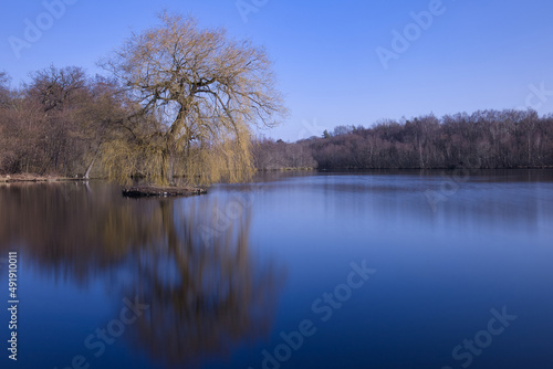 Insel mit Baum im See