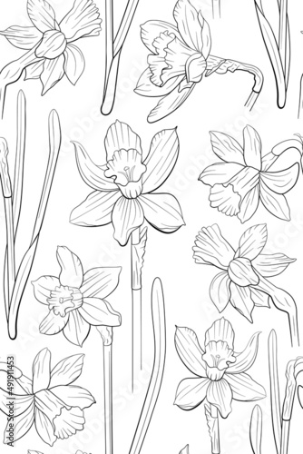 Fototapeta Naklejka Na Ścianę i Meble -  Line art narcissus flowers seamless pattern