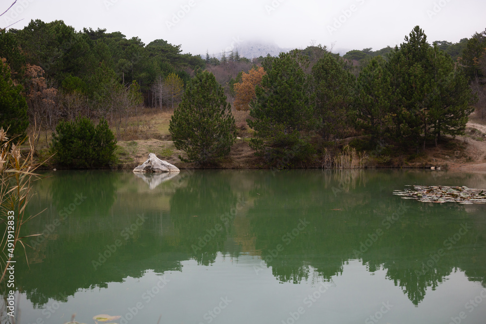 view of a mountain lake surrounded by bushes and trees in autumn