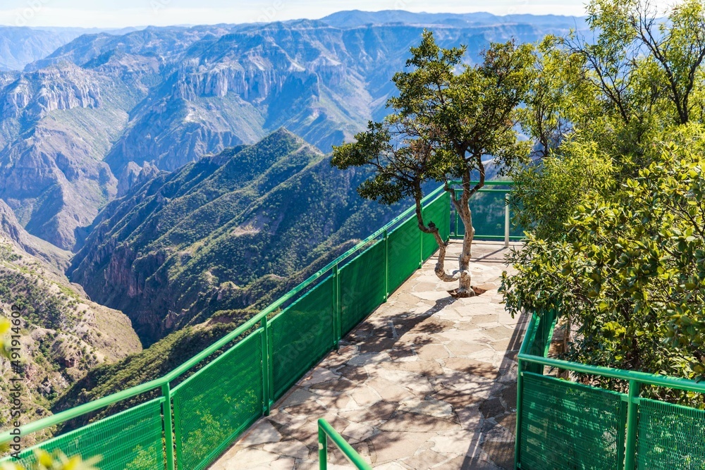 Copper Canyon of Barrancas del Cobre Mexico. A trail with tree growing