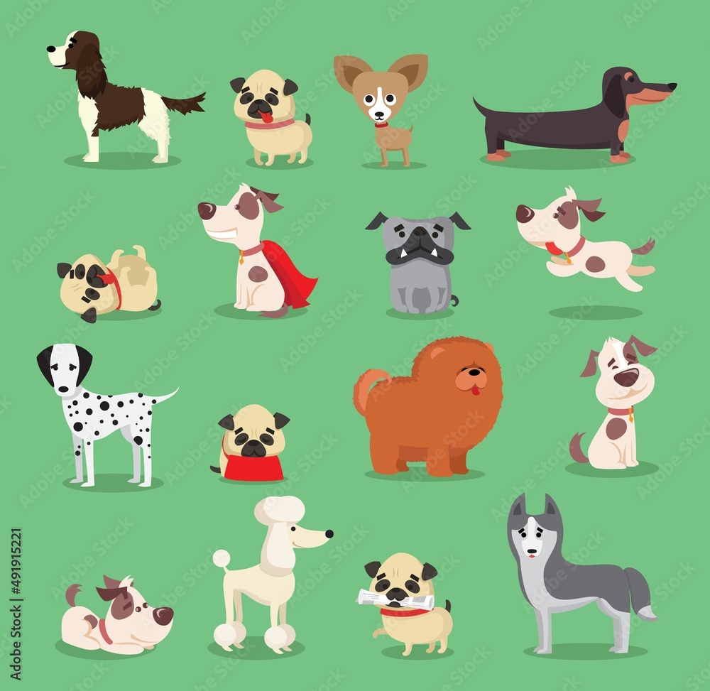 Cute dogs collection. Vector illustration of cartoon different breeds dogs, such as alaskan malamute, corgi, samoyed, border collie, doberman pinscher and pug in flat style. Isolated on white.