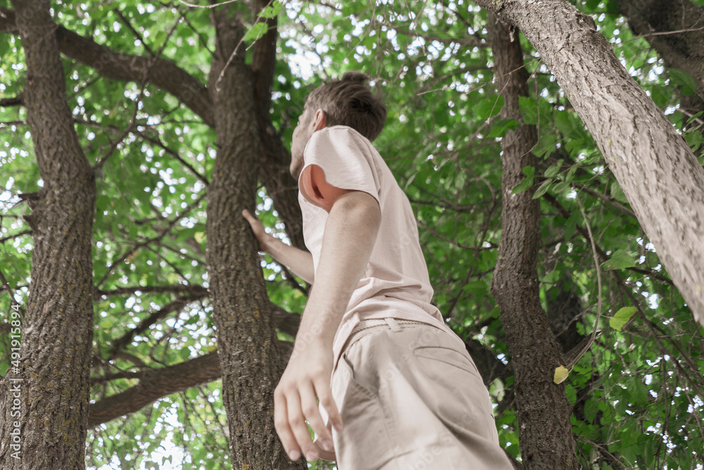person loving nature, hand touch tree in the forest person loving nature, hand touch tree in the forest