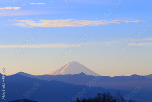 世界遺産 日本の富士山が 朝日が雪に反射して ピンク色の山と雲と空がとても綺麗で