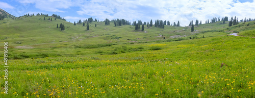 Panoramic view of Wildflower meadow at Paradise basin in Colorado rocky mountains.