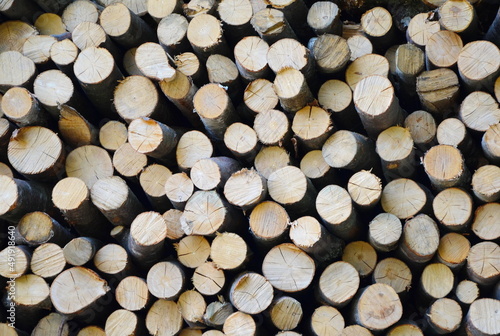 stack of firewood. sawn tree. wood background. Surface. Construction Materials