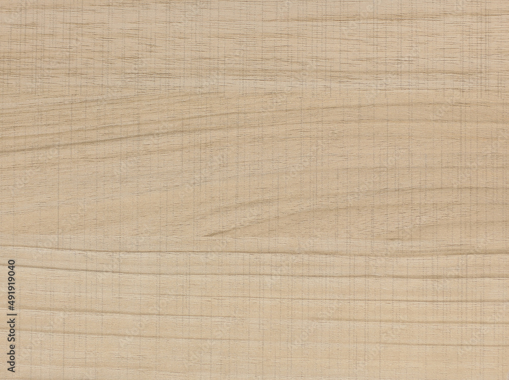 Fototapeta premium background texture natural veneer is an environmentally friendly material for the manufacture of interior doors and furniture for home and office