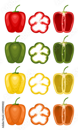 Peppers concept illustration vegetables food vector template red and green