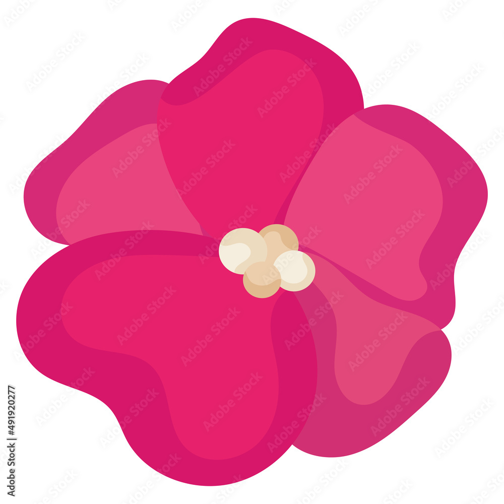 Fototapeta premium Isolated pink flower aerial view Vector