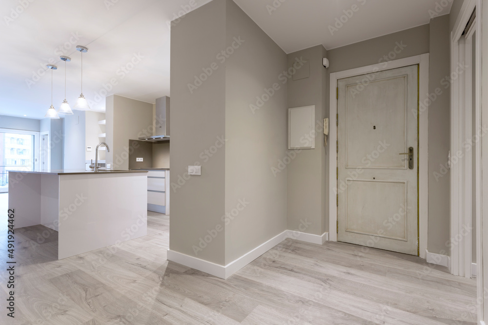 hall and kitchen of an apartment for sale hall and kitchen of an apartment for sale