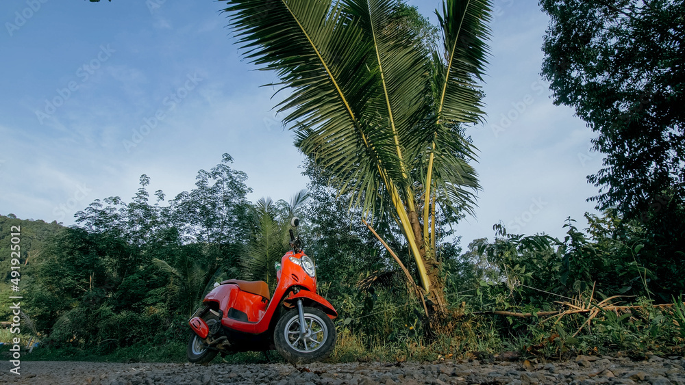 The red motorbike on forest road trail trip. One scooter, near tropical palm tree. Asia Thailand ride tourism. Single motorcycle, rent. Safety helmet.