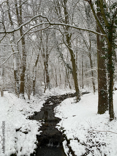 stream through the snow