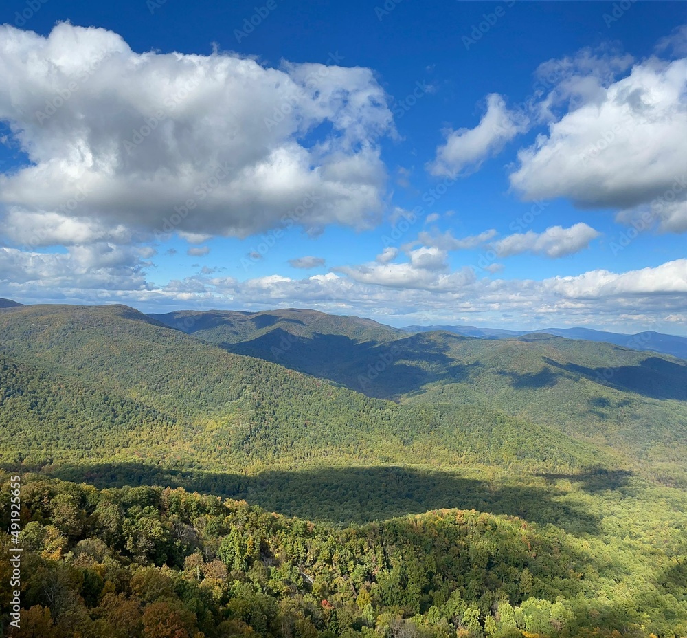 African forest from above